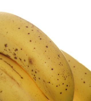 closeup shot of bananas with a white background