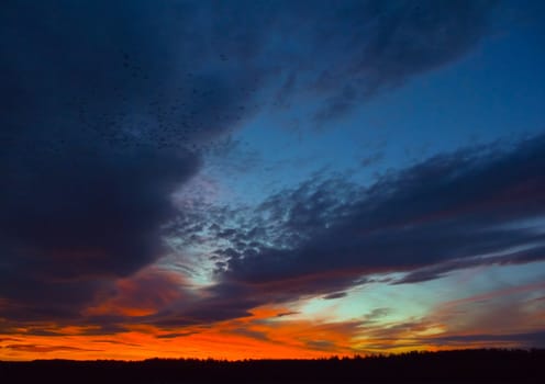 the dark red sunrise background with clouds