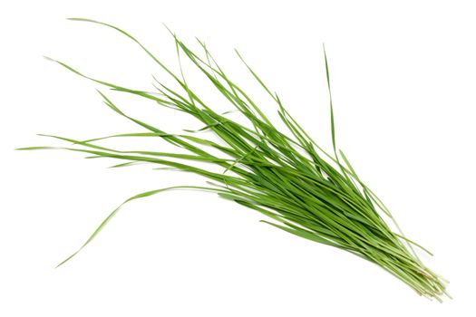 Green herb is put on white background