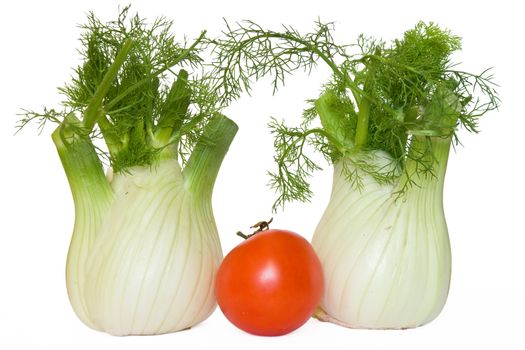 tomato and fennel isolated on white background