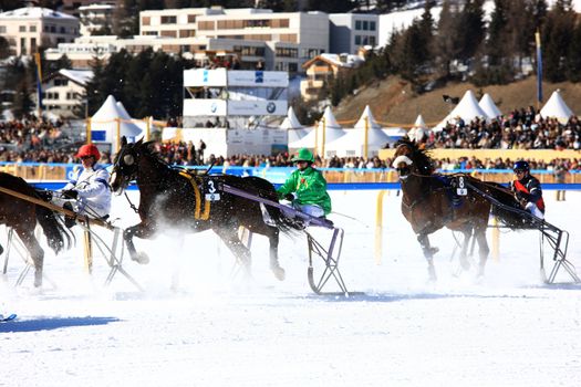 White Turf horse races in St. Moritz, 17. February 2008 