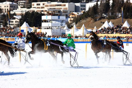 White Turf horse races in St. Moritz, 17. February 2008 