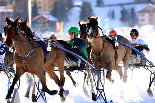 White Turf horse races in St. Moritz, 17. February 2008 