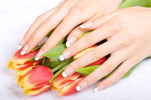 Woman hands with beautiful manicure holding fresh tulips