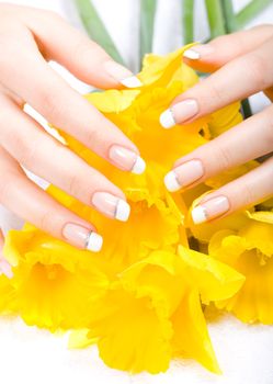 Young woman hands protecting fresh yellow daffodils