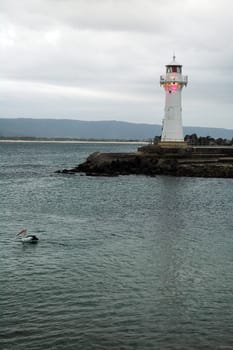 white lighthouse on australian coastline, bird in foreground
