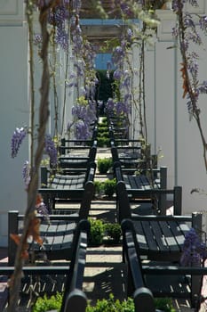 detail photo of gardens in Canberra