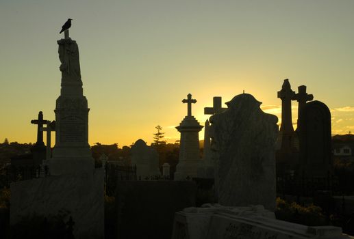 dusk at cemetery, crow sitting on tombstone, several grave silhouettes