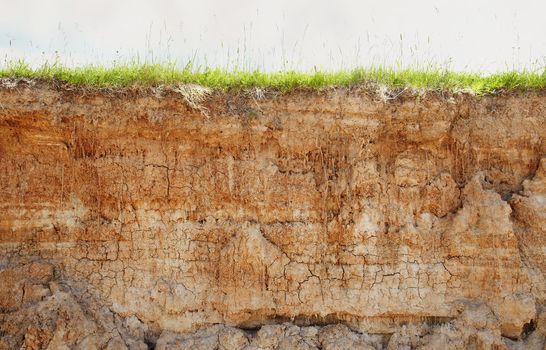 Background - brown clay soil with cracks and green grass