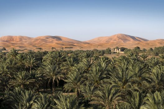 House surrounded by palm trees, situated in an oasis on the border with large sand dunes of the Sahara desert - Best of Morocco.