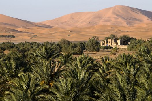 House surrounded by palm trees, situated in an oasis on the border with large sand dunes of the Sahara desert - Best of Morocco.