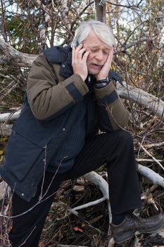 Mature busy man with grey hair in forest talking on the phone in autumn day.