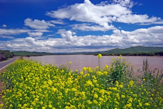 Taken in the upper reaches of the Yellow River in China,Was taken in August 2008