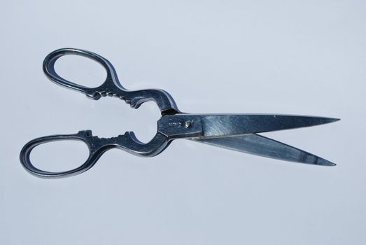 Stainless steel scissor on white background