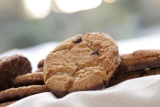 Chocolate chip cookies with bottom dipped in chocolate