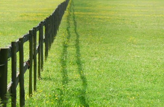 wooden fencing diminishing perspective