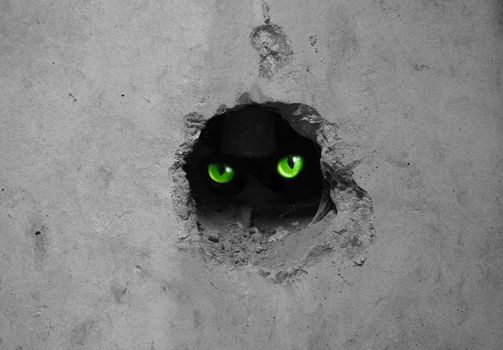 Cat eyes in wall