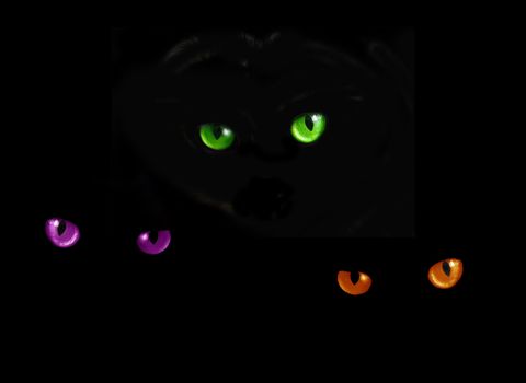 Cat eyes in dark