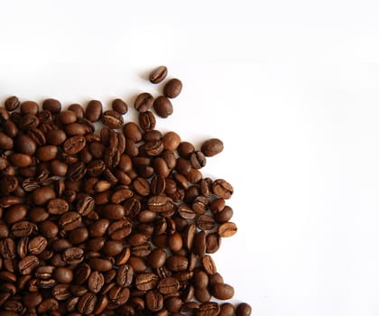 Coffee beans on white background