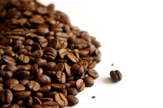 Coffee beans on white background