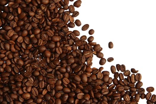 Coffee beans on white background