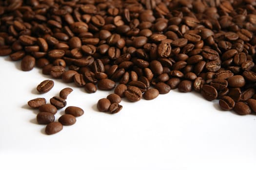 Coffee beans on white background