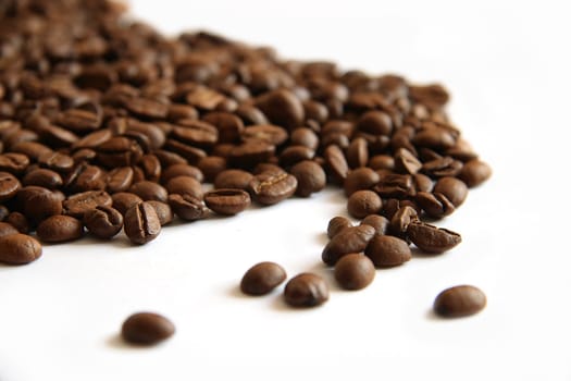 Coffee beans on white background