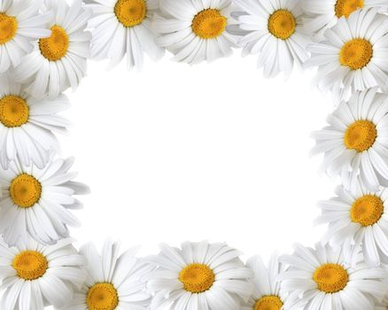 Floral frame with place for your text