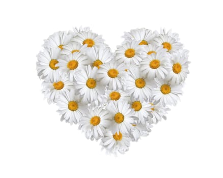 Love, heart of daisies