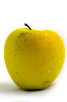 fresh apple with drop dew. Apple of yellow color.
