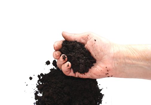 Soil black in hand