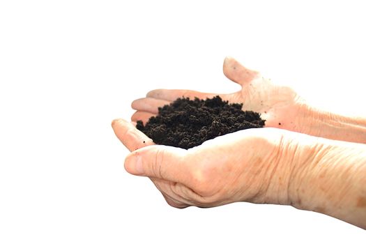 Soil black in hand