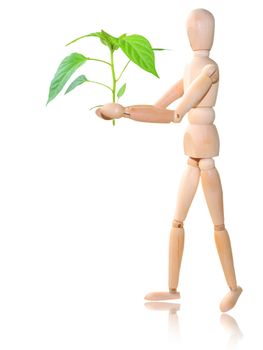 Wood man with plant, white background