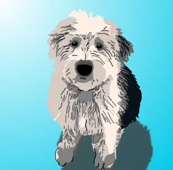 A sheepdog puppy sitting on a blue background with a drop shadow.