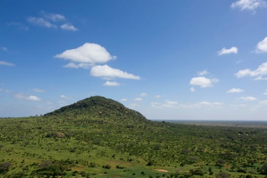 african savannah