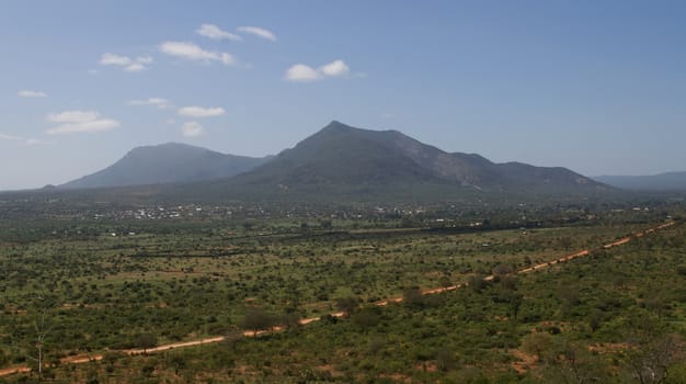 african savannah
