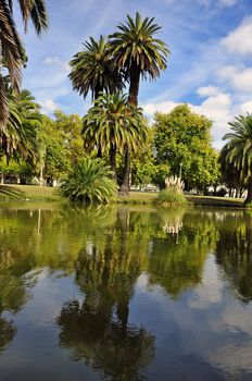 trees lake portugal park green reflection sunlight military outdoors