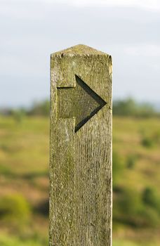 a wooden sign post showing the way