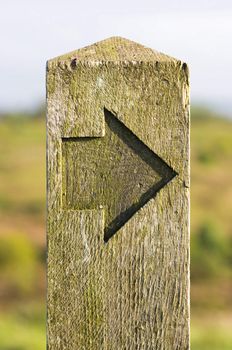 a wooden sign post showing the way