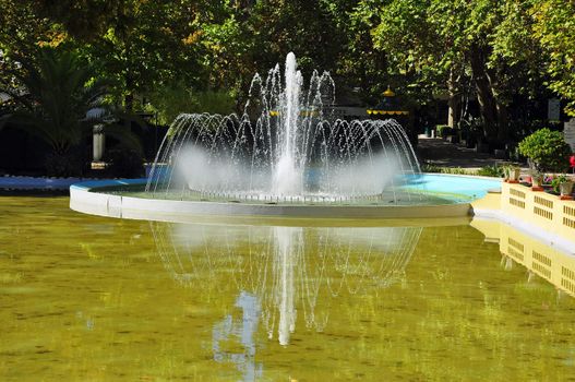 portugal lisbon tree view park architectur culture relaxation green