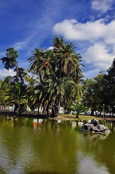 portugal lisbon tree view park architectur culture relaxation green