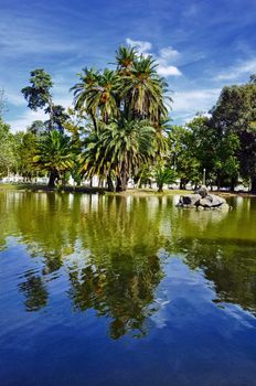 portugal lisbon tree view park architectur culture relaxation green