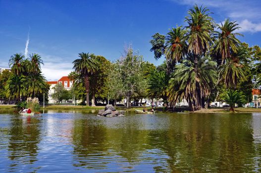 portugal lisbon tree view park architectur culture relaxation green