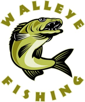illustration of a Walleye fish jumping isolated on white with words " walleye Fishing"