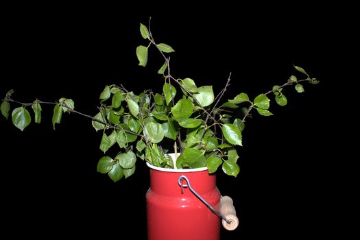 Decorative birch branches in a small red bucket