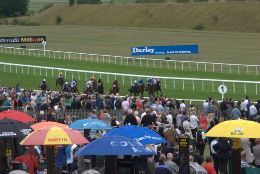 Horses racing at newmarket