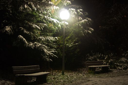 Nightly park scene with lamp and benches