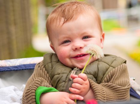 Cute baby boy holding flower and smiling