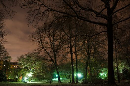 Snowy winter park in the dark with trees, buildings and lamps
