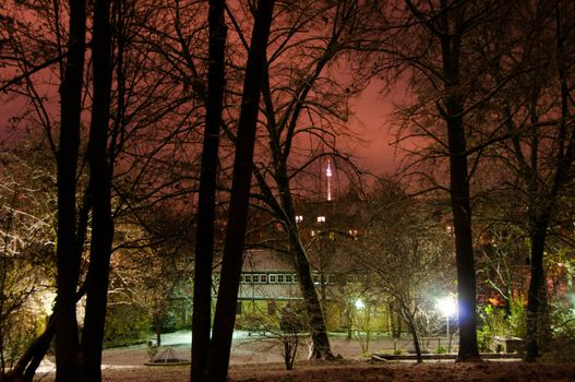 Snowy winter park in the dark with trees, buildings and lamps